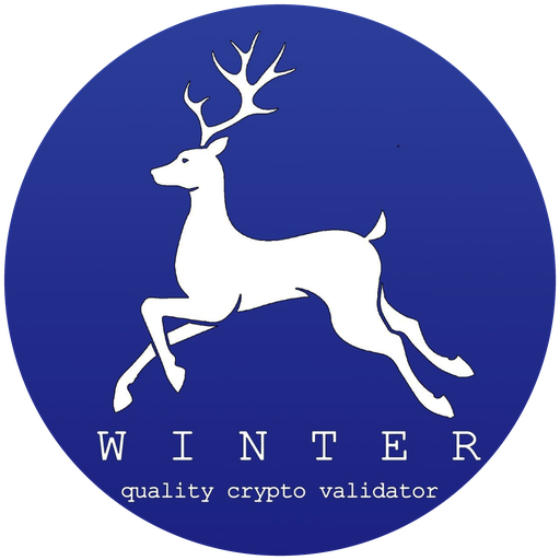 Winter Validator logo
